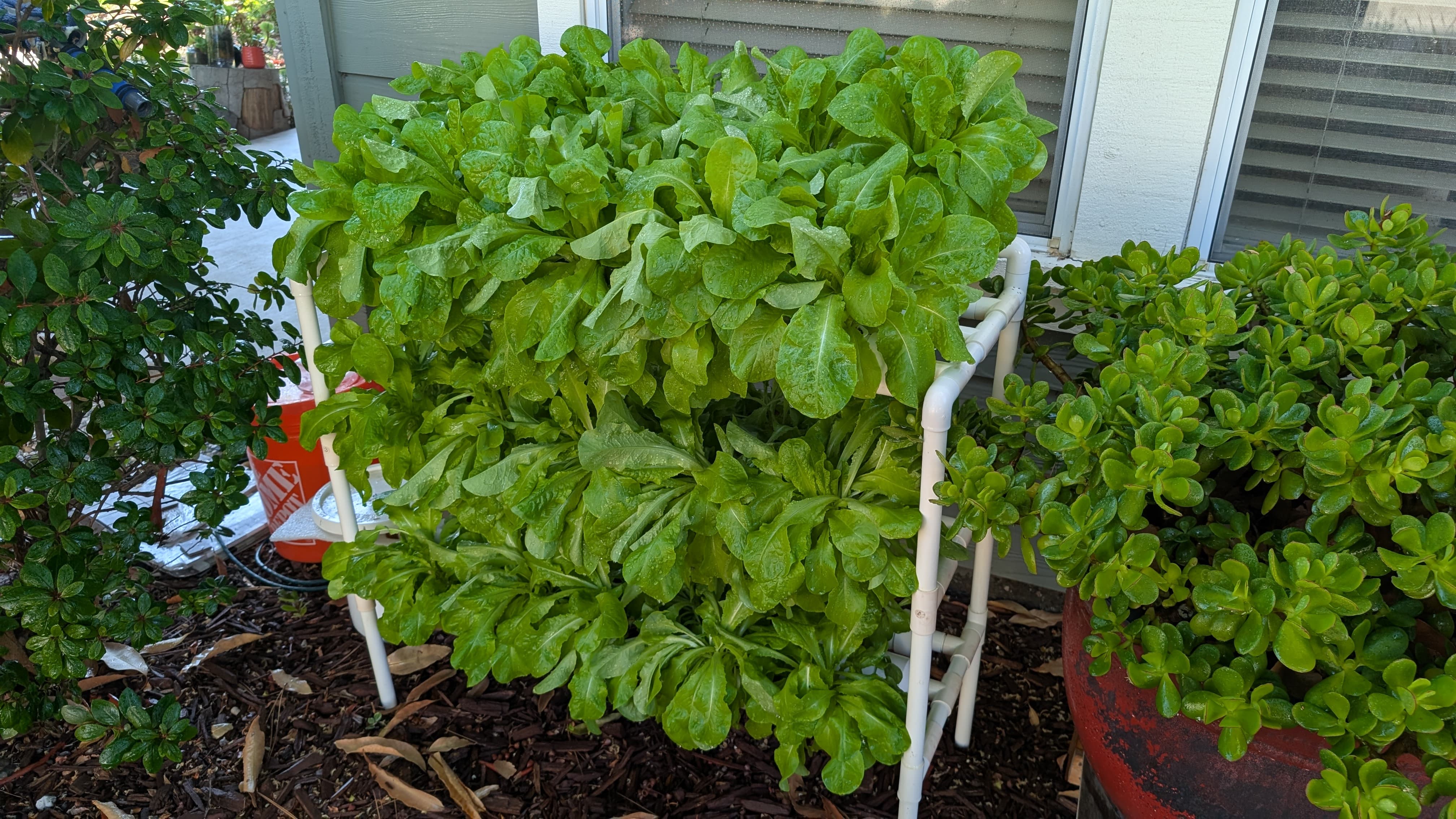 Hydroponics Final Result 1